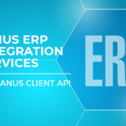 Image to article 'ERP Integration Services'